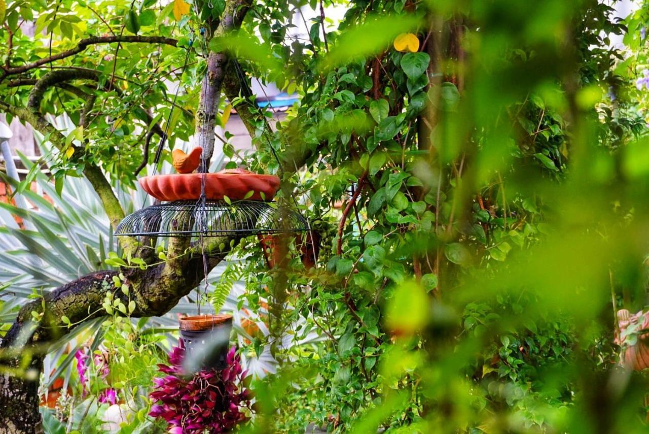 Mekong Pottery Homestay, Green-friendly & Boat Tour