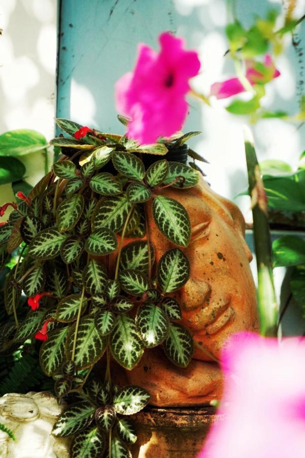 Privatunterkunft Mekong Pottery Homestay, Green-friendly & Boat Tour